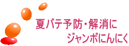 夏バテ予防・解消に 　　　　　　ジャンボにんにく 