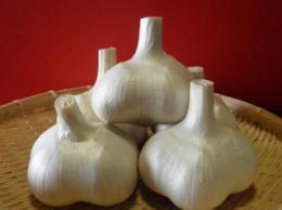 ジャンボにんにく　M